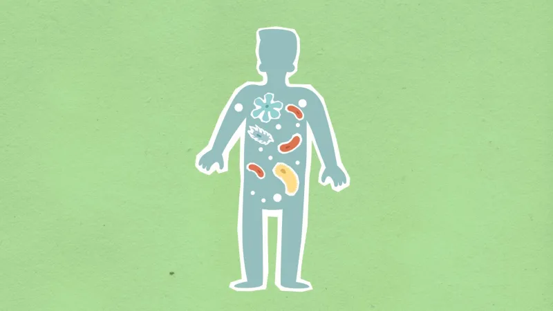 Mistaken for Everything Else: Why Small Intestinal Bacterial Overgrowth Remains One of Medicine's Most Overlooked Diagnoses